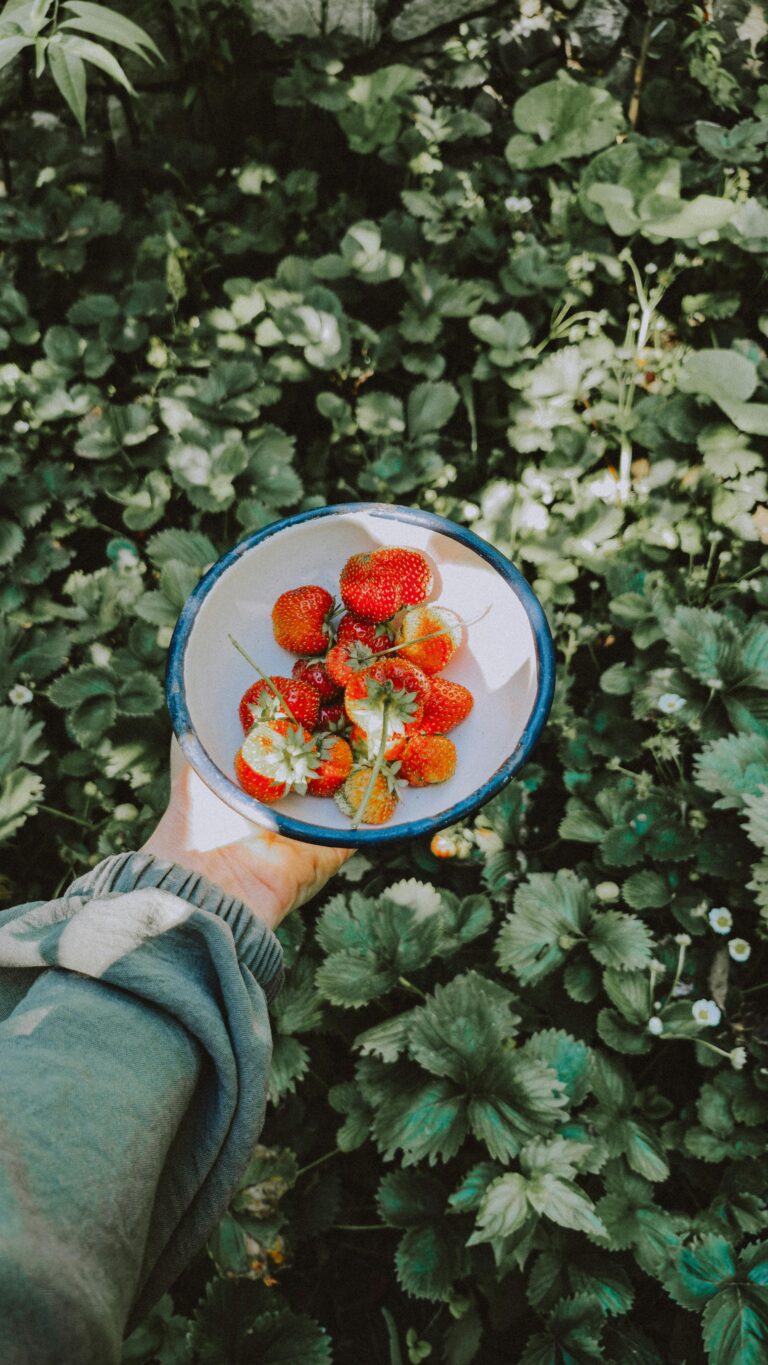 The Joy of Seasonal Eating: Nourishing Your Body and Soul